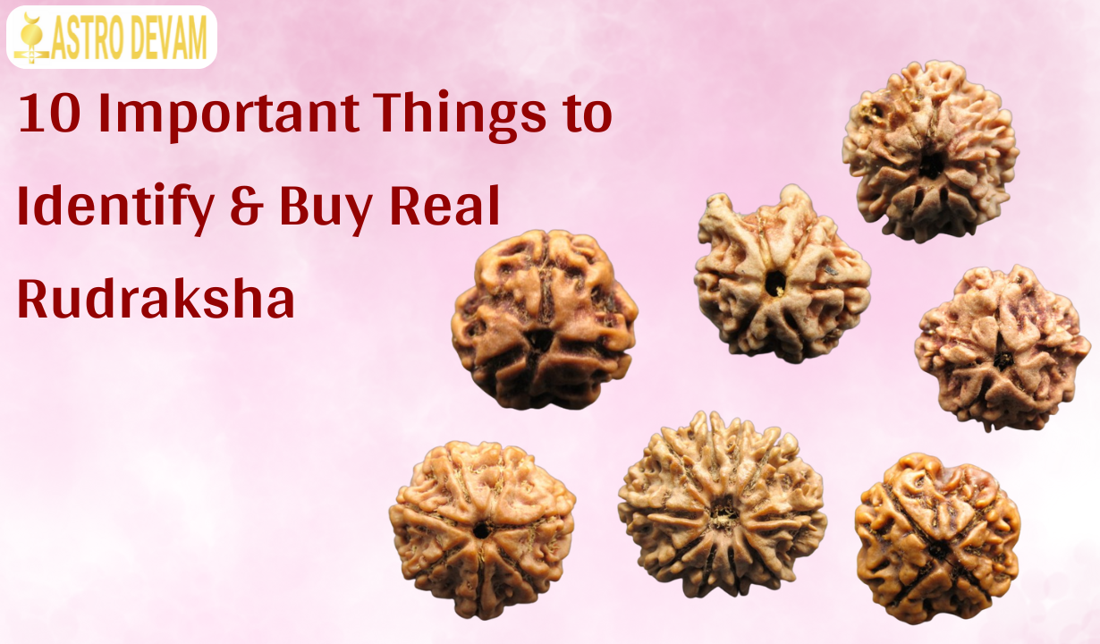 10 Reason to Buy Real Rudraksha Online